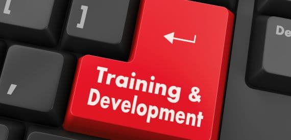 Staff Training & SOP Development